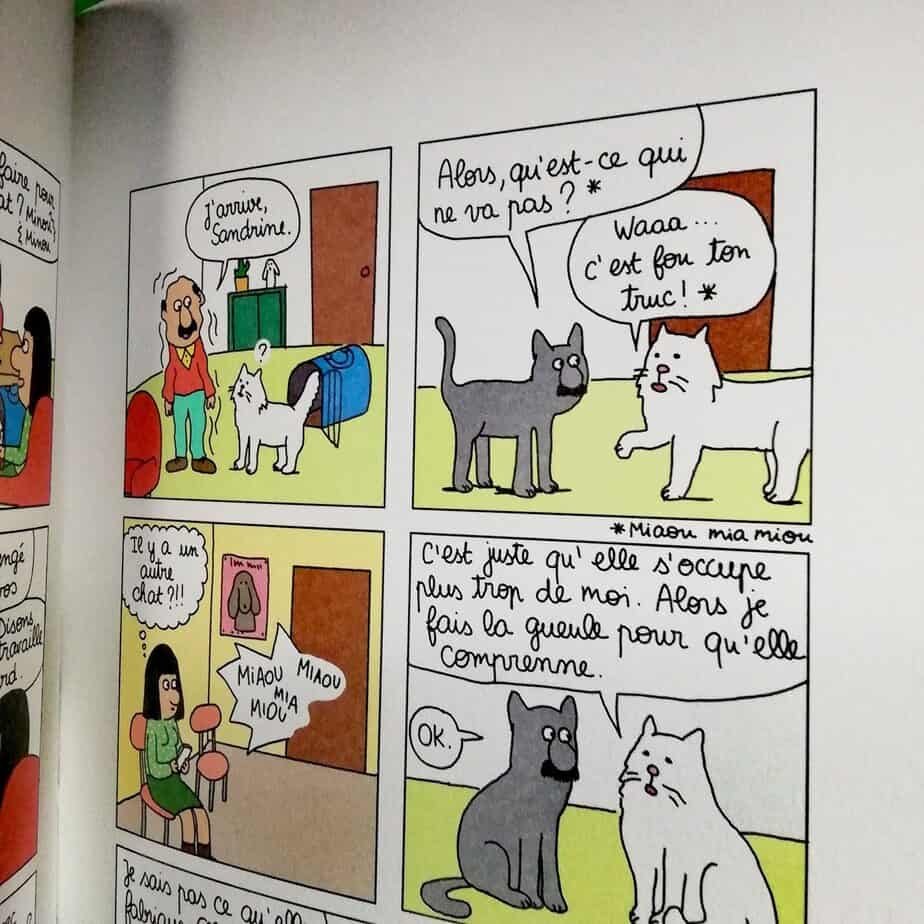 anouk ricard fabienne