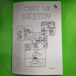 c est le destin cj wu