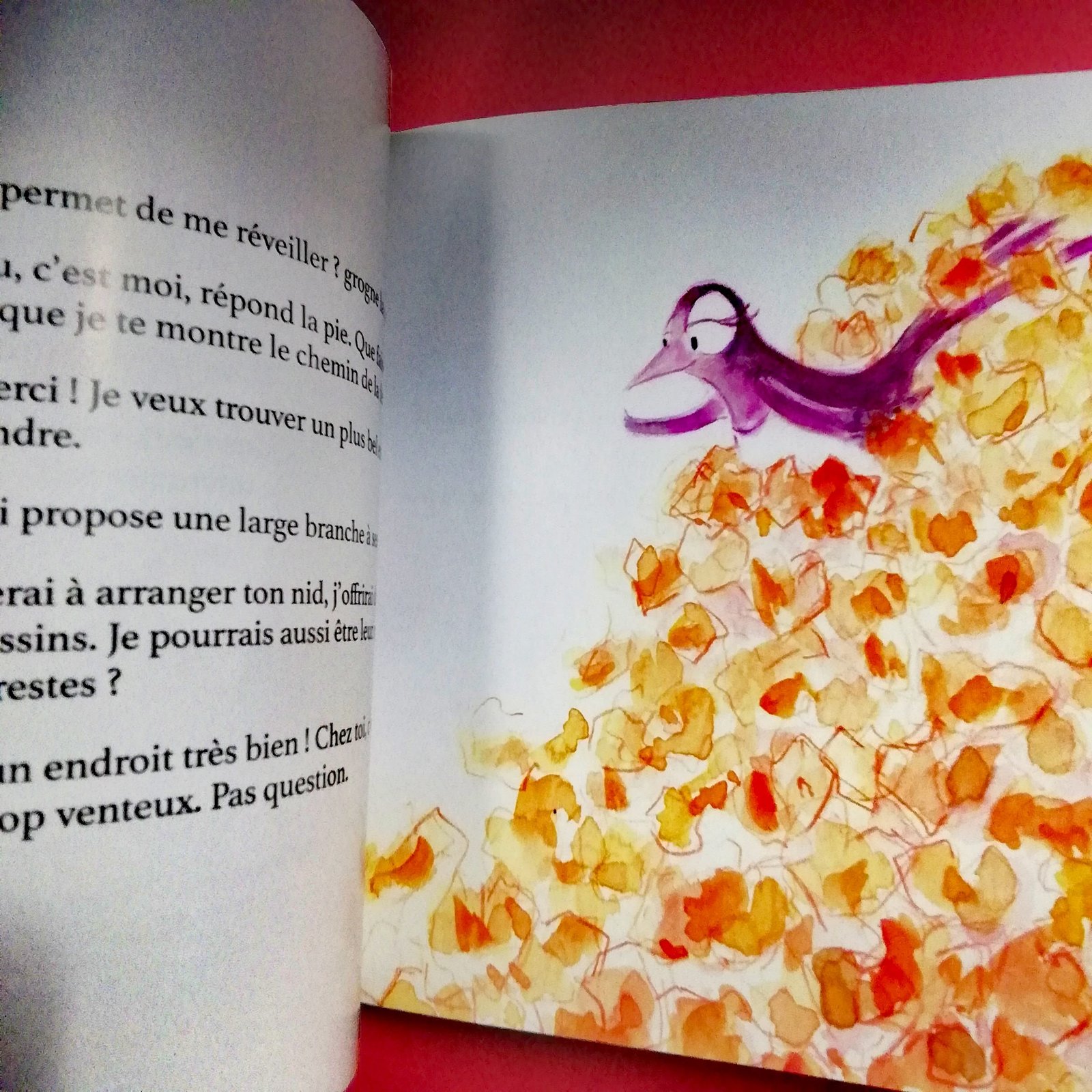 illustration jeunesse