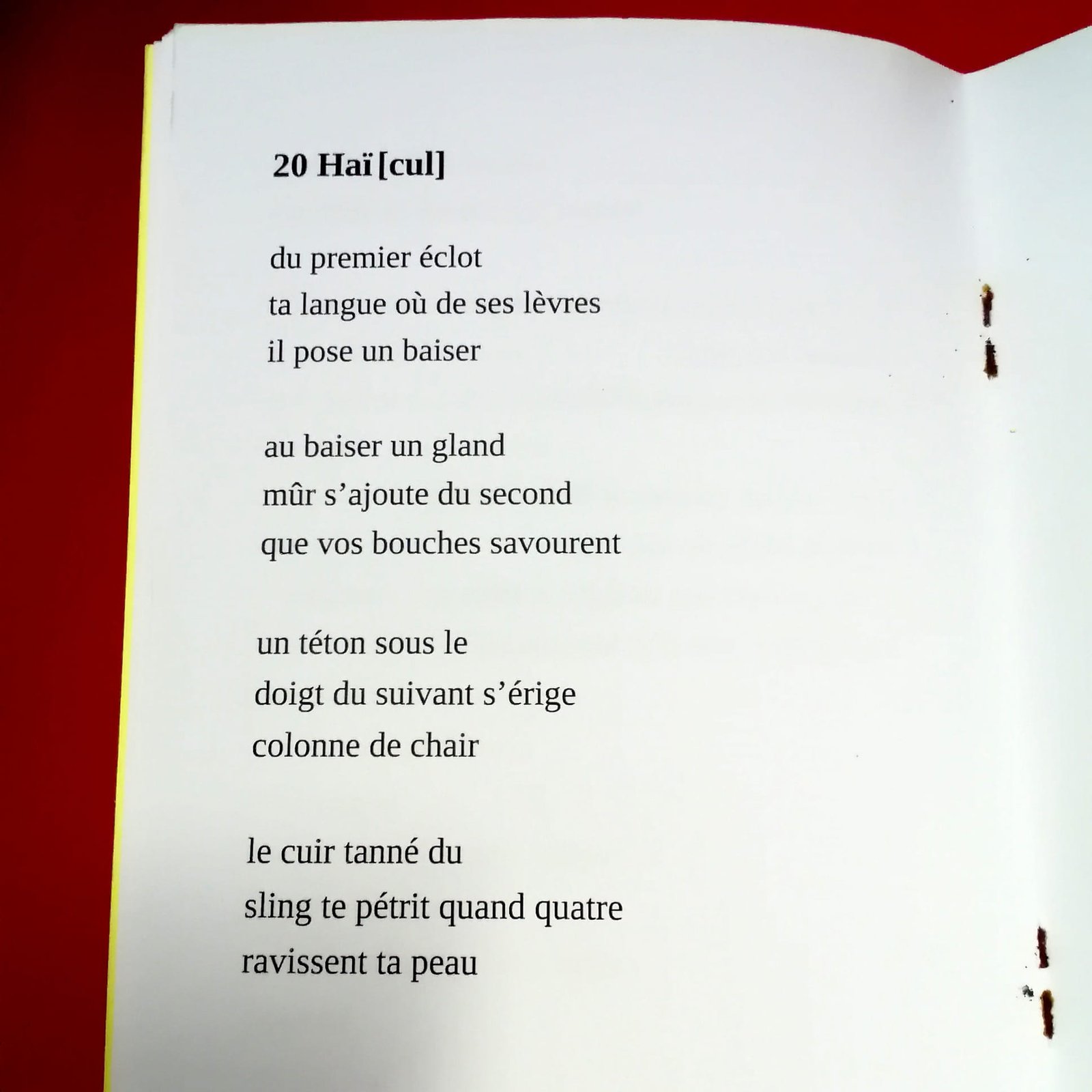 librairie queer