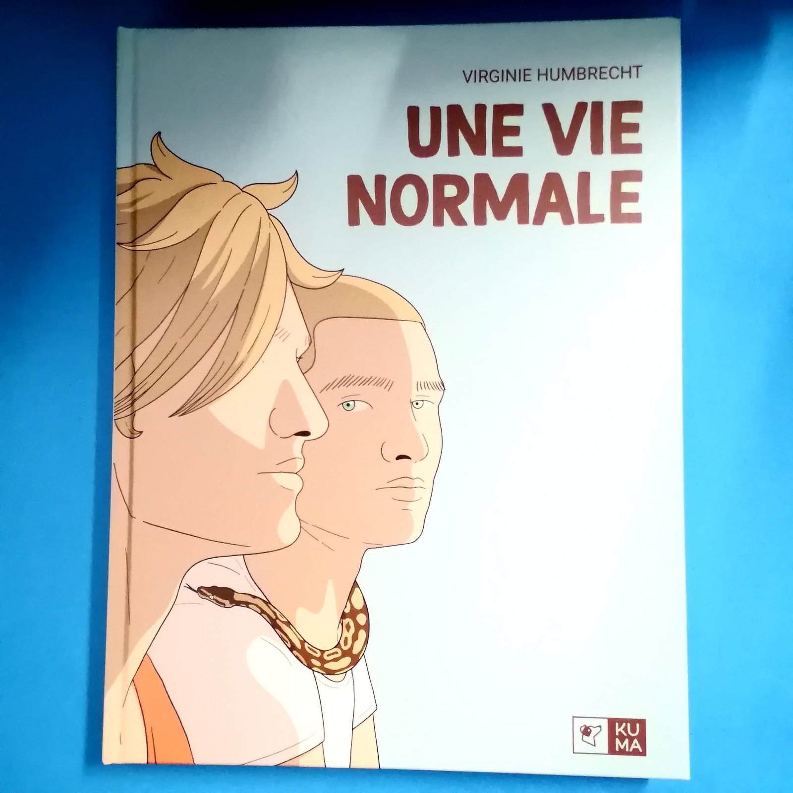 une vir normale roman une vie normale roman