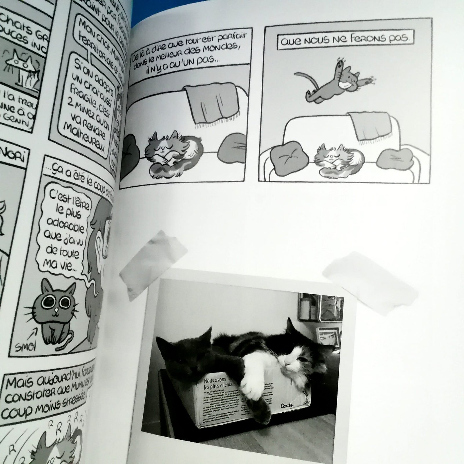 chat bd ulule strip