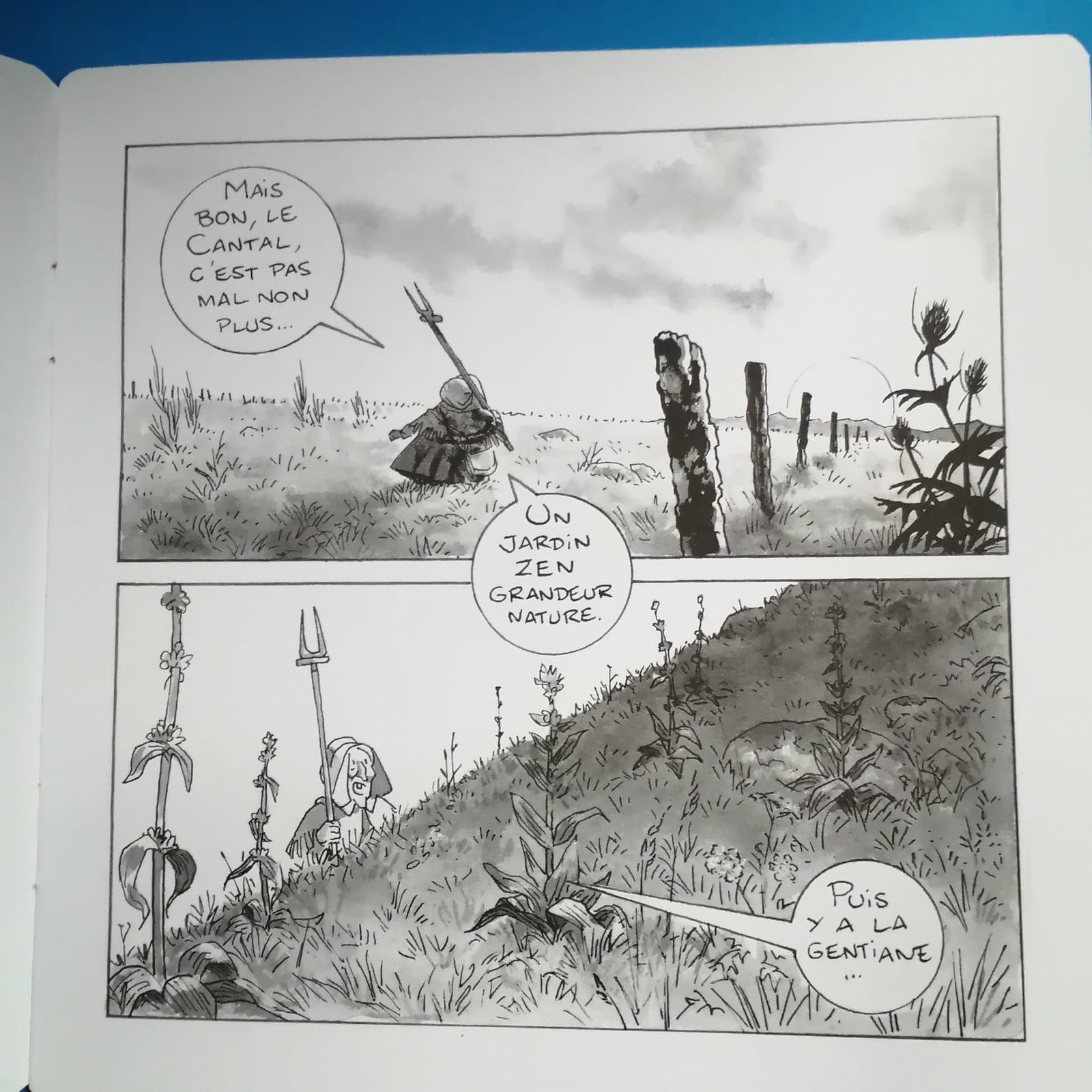 le bon coin bd