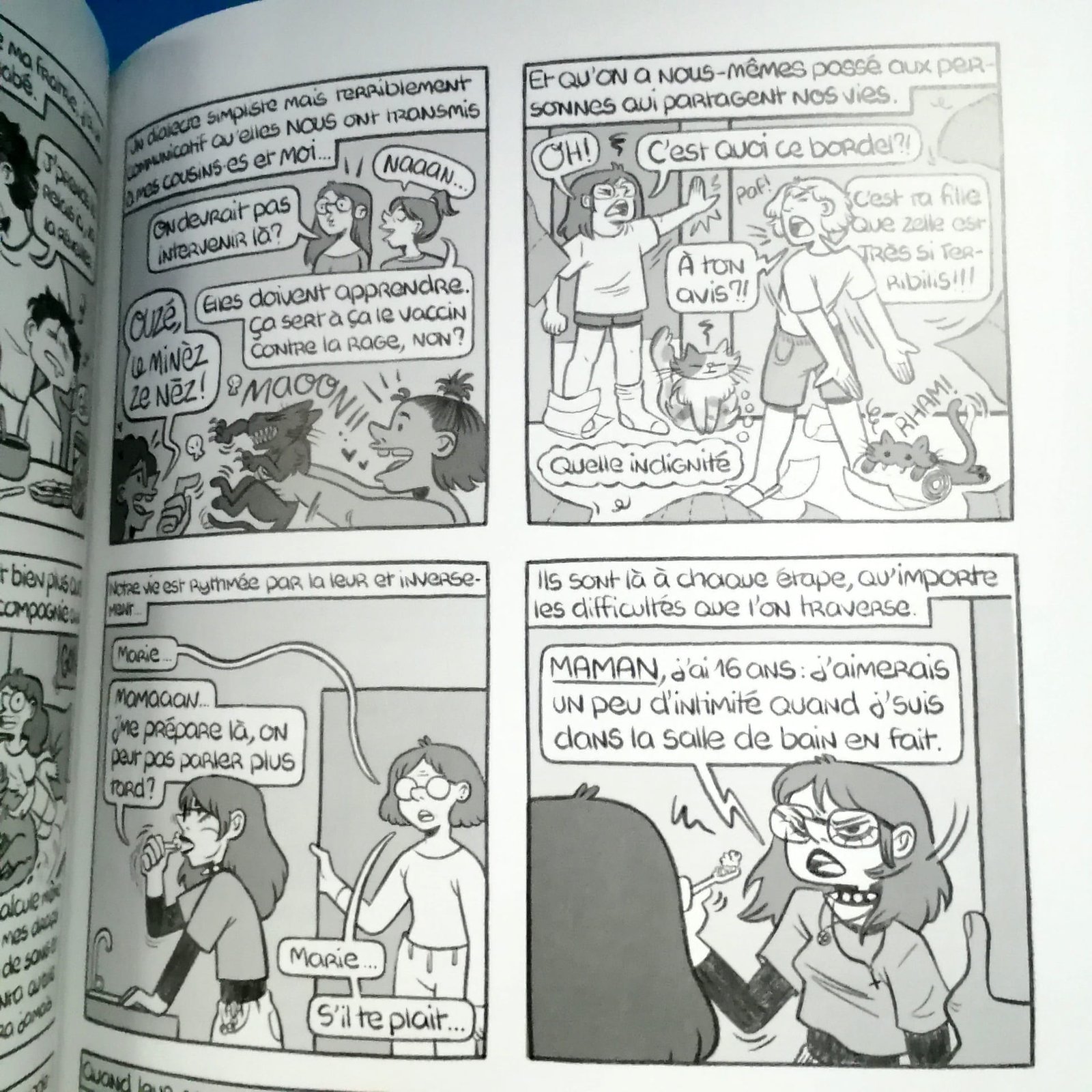 recueil de strips ulule