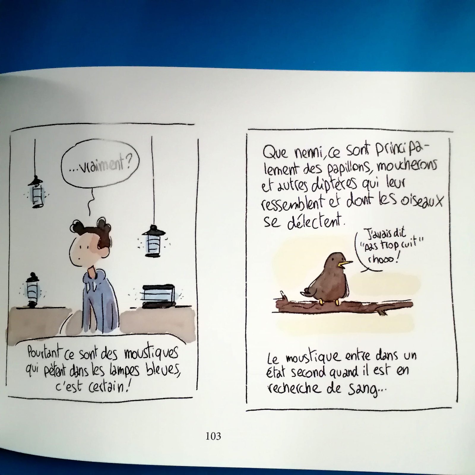 anecdotes oiseaux