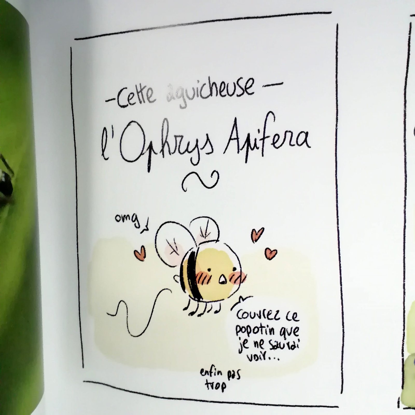 anecdotes plantes