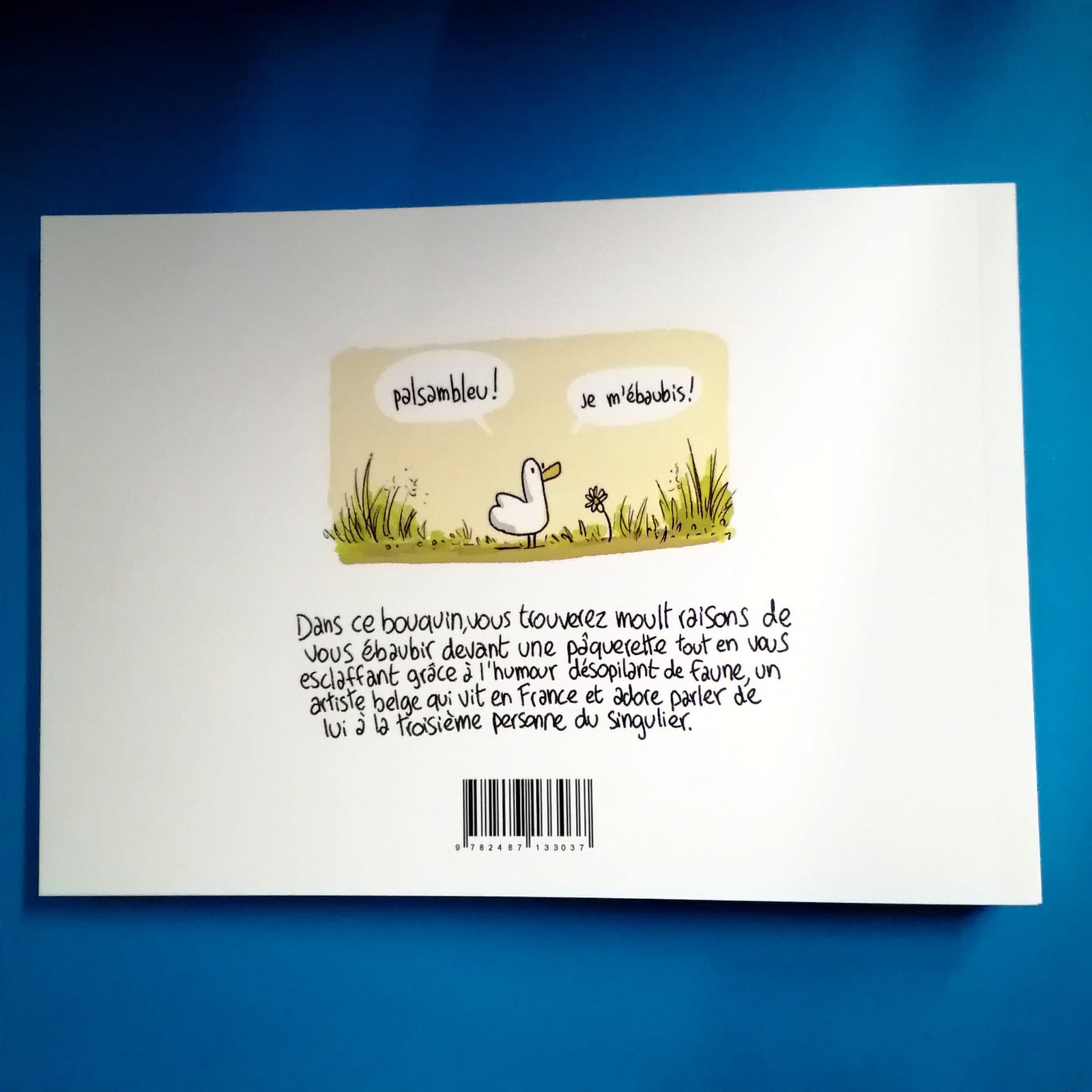 la boucle du dessin faune facts