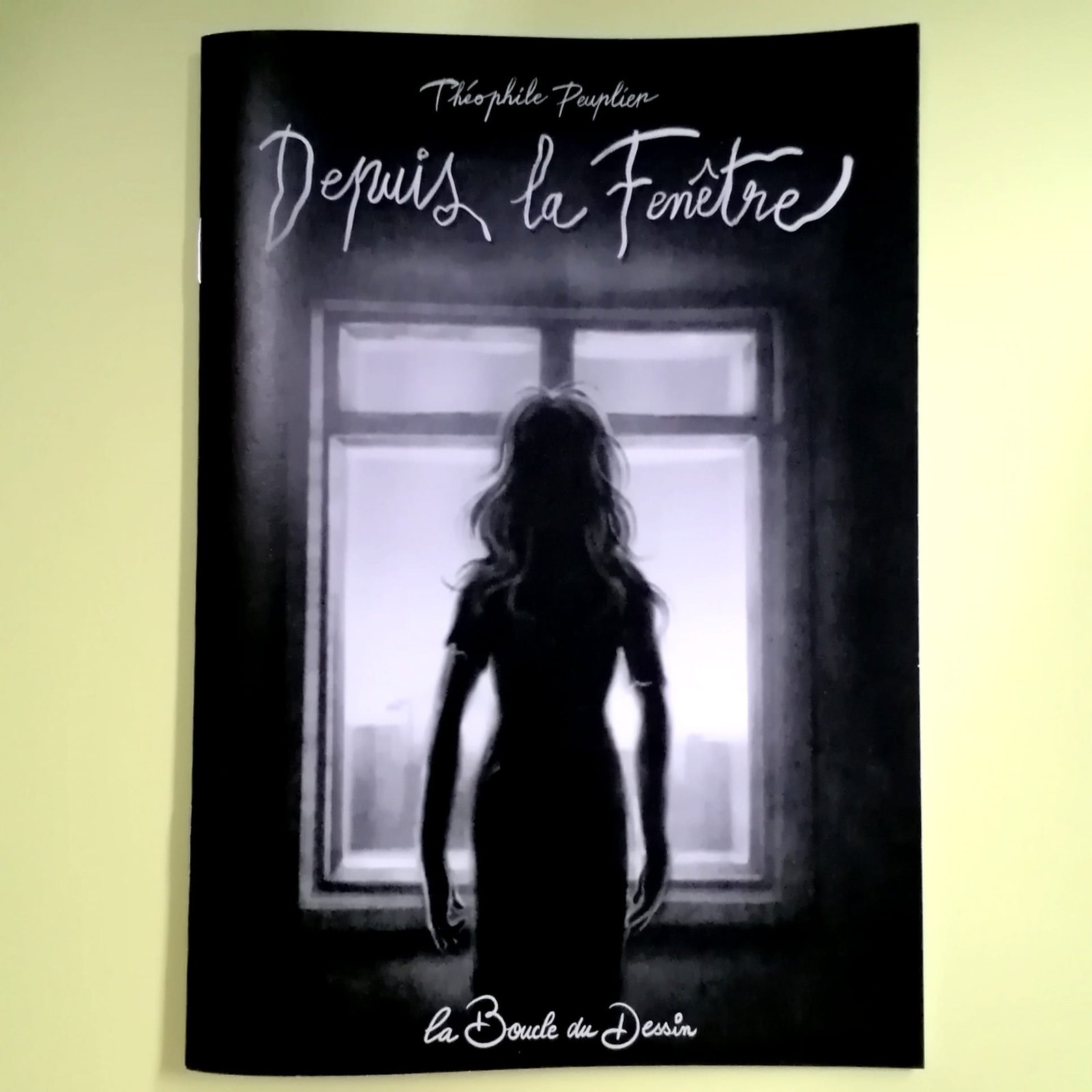 depuis la fenêtre