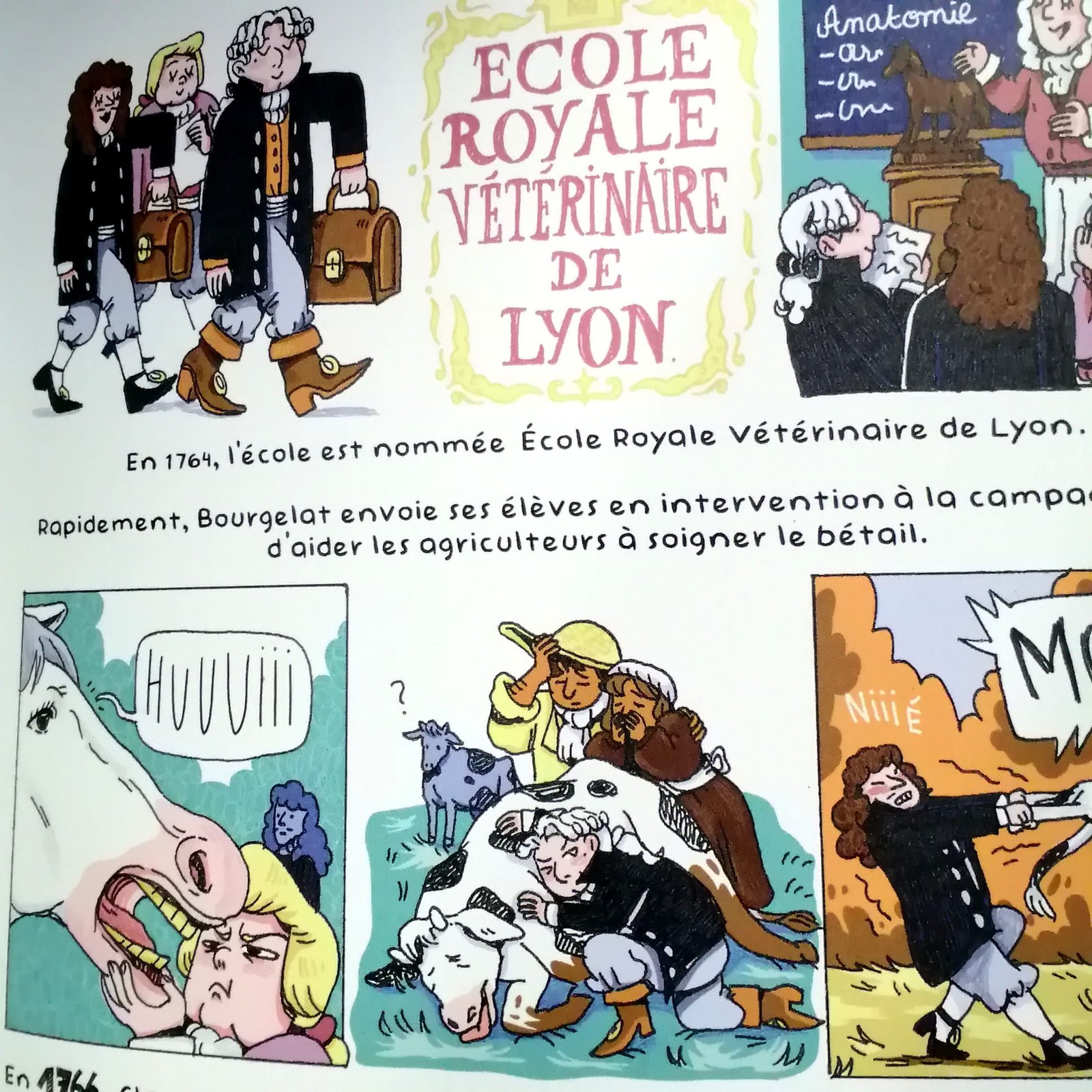 ecole veterinaire