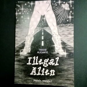 illegal alien